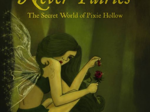 In the Realm of the Never Fairies Book Cover